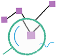 database audit icon